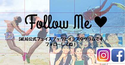 follow-sns